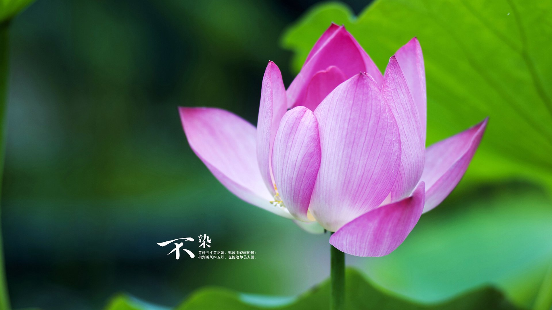 _运动员的日常:训练、休息、娱乐都有哪些讲究_,运动员如何休息