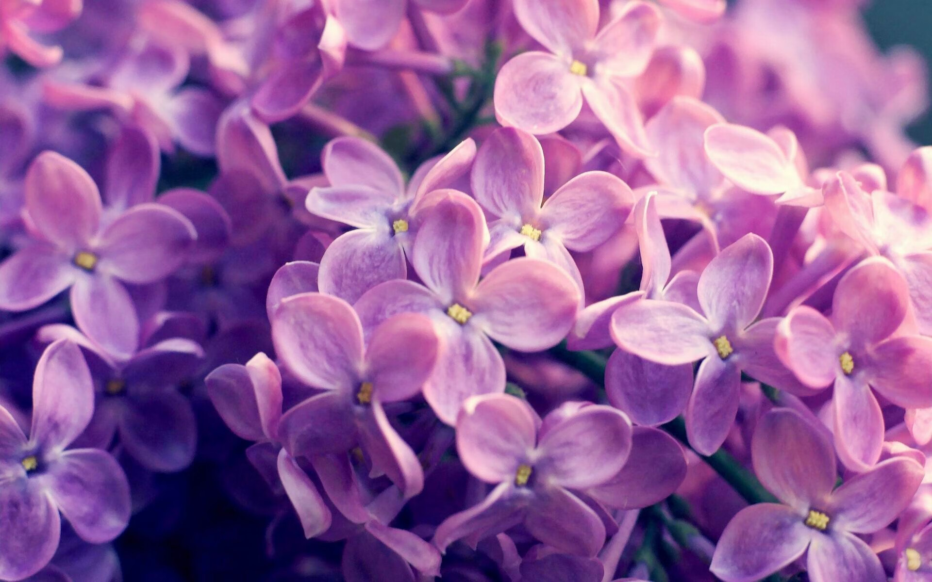 【精彩瞬间】运动员如何在关键时刻调整战术？，运动员如何在比赛中控制自己的冲动性