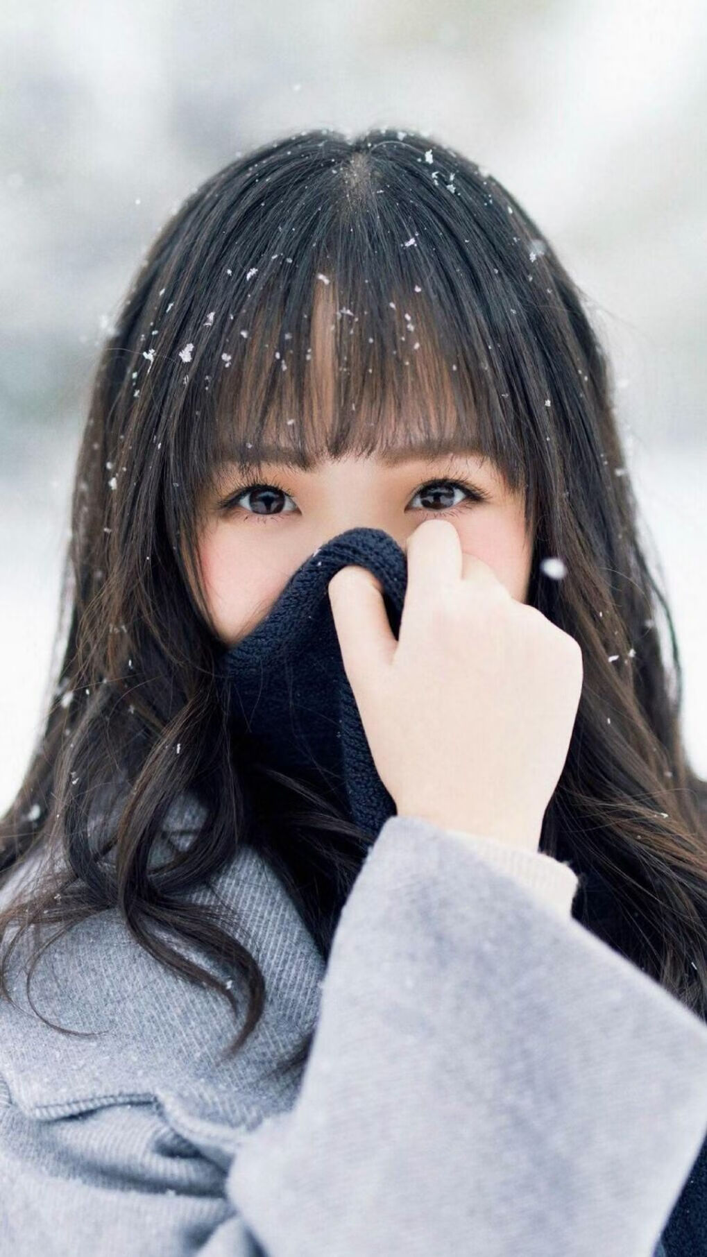 上海申花进攻端火力全开,球队状态回暖,上海申花战绩