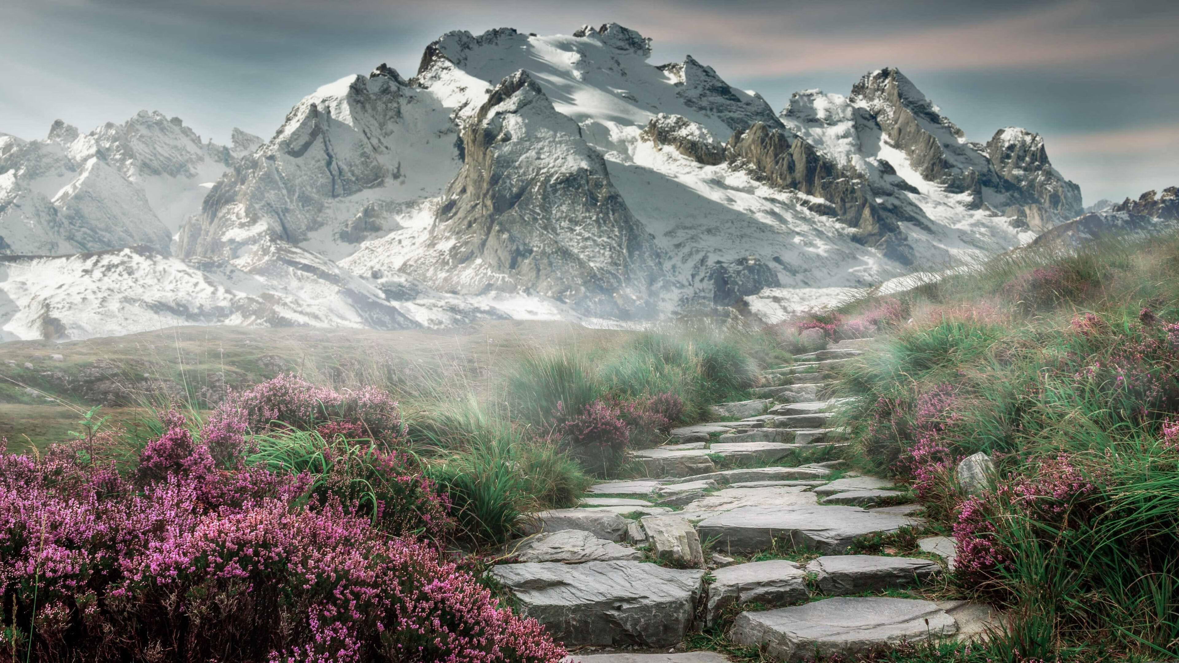 冠军教头的秘密:如何激发球队潜能?,冠军 教练