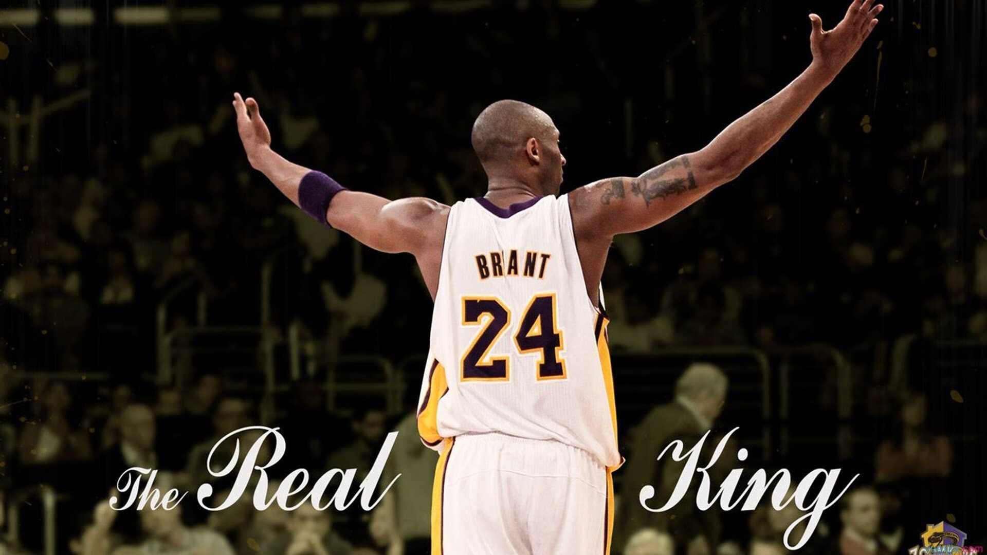 全国青少年“篮球梦之队”线上选拔火热进行中，2020青少年篮球比赛