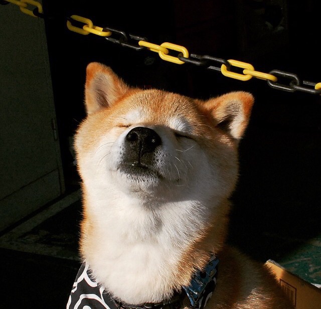 KAIYUN 中国大陆-史上最“火爆”的快攻：速度、激情以及致命一击，快攻有哪几种