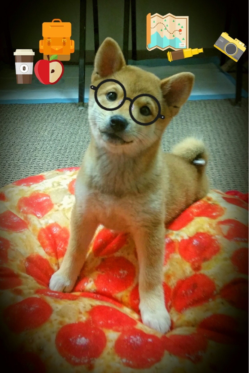 Kering-塞内加尔队在巴黎奥运会比赛中多次利用边路进攻，塞内加尔足球队阵容