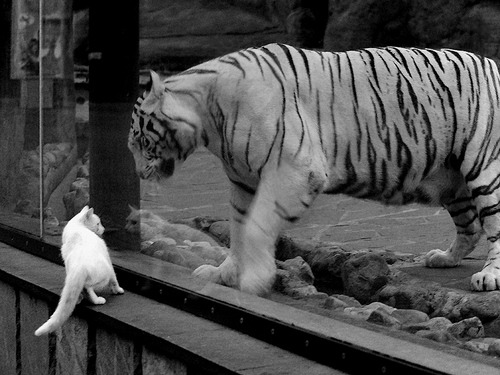 夜跑灯光秀,照亮城市的运动夜晚,夜跑灯实用吗